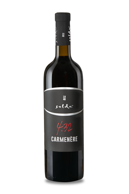 Carmenere Veneto IGT