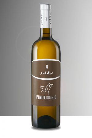 Pinot grigio - Cantine Soldà